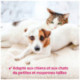 Tapis d'alimentation magnétique chien et chat - 8 aimants